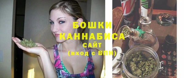Альфа ПВП Костерёво
