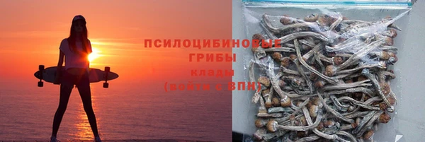 Альфа ПВП Костерёво
