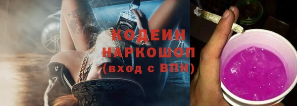 прущая мука Корсаков