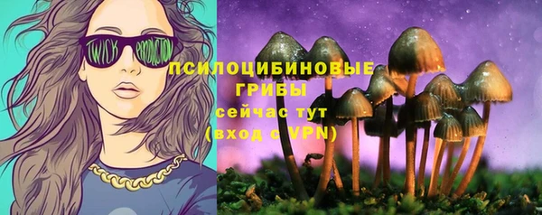 прущая мука Корсаков
