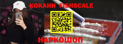 СК Кингисепп