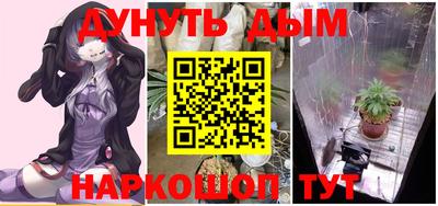 СК Кингисепп