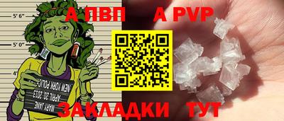 СК Кингисепп
