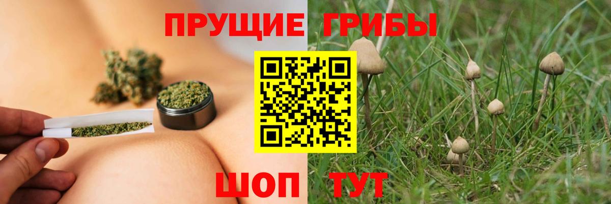 Псилоцибиновые грибы Magic Shrooms  Вход с VPN  Галлюциногенные грибы Psilocybe  Тюмень 